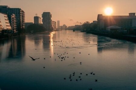 Terrifying Stabbing Spree at Shizuoka Tire Factory Injures 15 People Terrifying Stabbing Spree at Shizuoka Tire Factory Injures 15 People