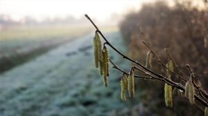 Explore Spain and Its Breathtaking Neighbors: Your Ultimate Guide to Dream European Retirement Destinations