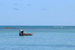 Unveiling the Vital Role of Fisheries and Oceans in Canada’s Pacific Region