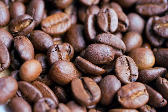 Unpredictable Weather Keeps Brazil’s Coffee Growers on Edge as 2026 Approaches