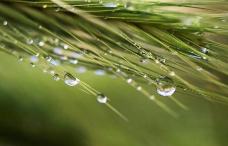 Drew Doughty and Darcy Kuemper Secure Spots on Team Canada’s 2026 Winter Olympics Roster! Drew Doughty and Darcy Kuemper Secure Spots on Team Canada’s 2026 Winter Olympics Roster!