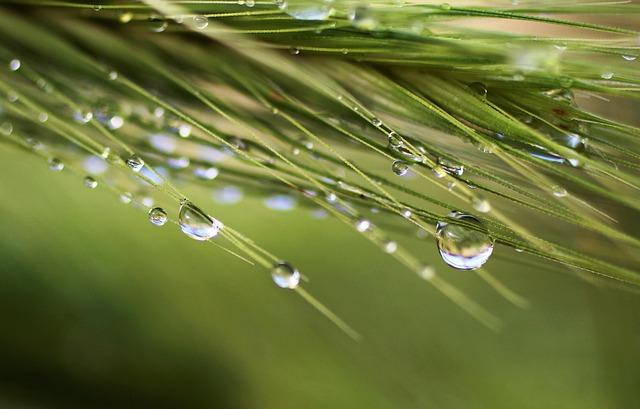 Drew Doughty and Darcy Kuemper Secure Spots on Team Canada’s 2026 Winter Olympics Roster! Drew Doughty and Darcy Kuemper Secure Spots on Team Canada’s 2026 Winter Olympics Roster!