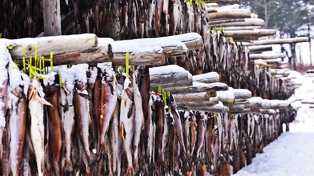 Russia Kicks Off Pollock Season Aiming to Boost Value and Conquer the US Market Russia Kicks Off Pollock Season Aiming to Boost Value and Conquer the US Market