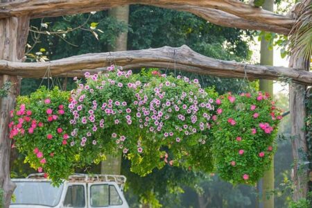 India Blooms with Creativity: Interactive Flower Workshop Empowers Workers