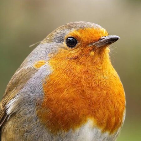U.K. Stocks Climb 0.46%, Ending the Day on a High Note U.K. Stocks Climb 0.46%, Ending the Day on a High Note