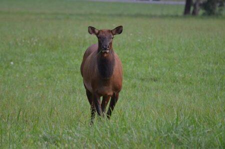 India’s EV Revolution Accelerates with Explosive Growth in Charging Stations and Car Sales