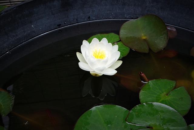 Inside the Breathtaking French Hotel Chosen for The White Lotus Season 4