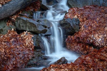 Bial Launches KYNMOBI® (Apomorphine Hydrochloride) in the UK, Offering New Hope for Patients