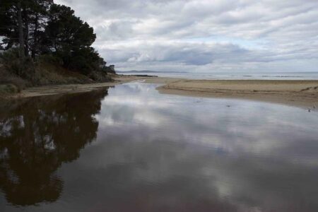 Ashes 2025-26: Our Writers’ Ultimate England vs Australia Awards Revealed! Ashes 2025-26: Our Writers’ Ultimate England vs Australia Awards Revealed!