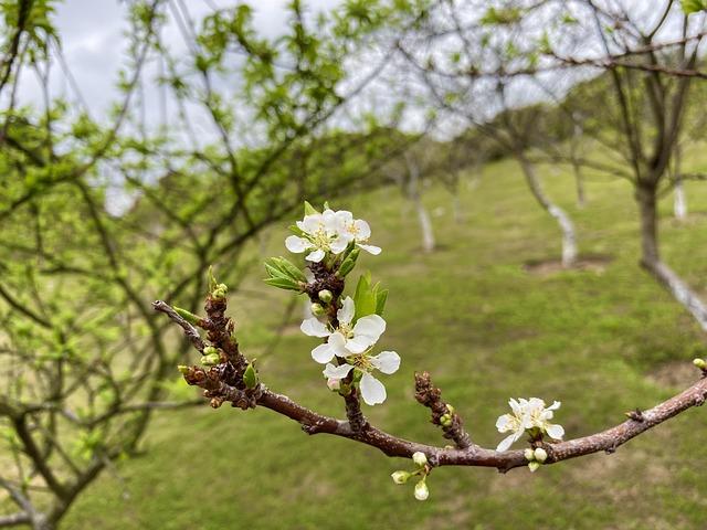 Lee Arrives in Japan for High-Stakes Summit with Takaichi