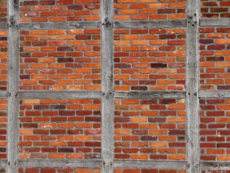 INFiLED Accelerates Growth with Exciting Expansion into Brazil and Latin America