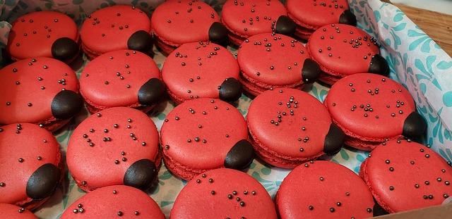 Macron Unveils Major Boost to French Military Forces in Greenland