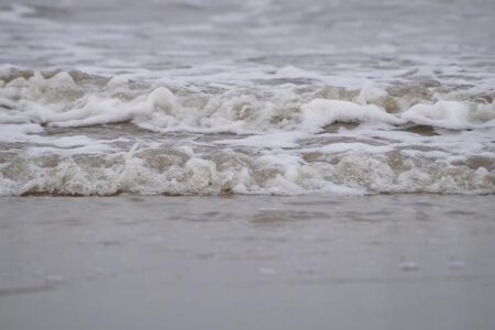 An Se-young Dominates the India Open with an Unstoppable Victory