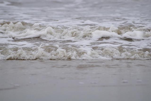 An Se-young Dominates the India Open with an Unstoppable Victory