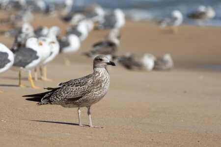 Kao Group Launches Exciting Pop-Up Event in Japan Showcasing Kate Makeup Brand