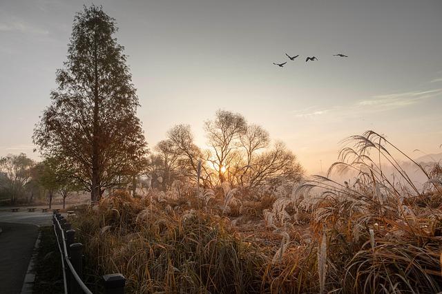 Japan Shatters Records with Over 40 Million Foreign Visitors in 2025