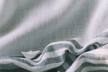 BYD Sets New Record with Nearly 5,800 Electric and Hybrid Vehicles Delivered to Argentina