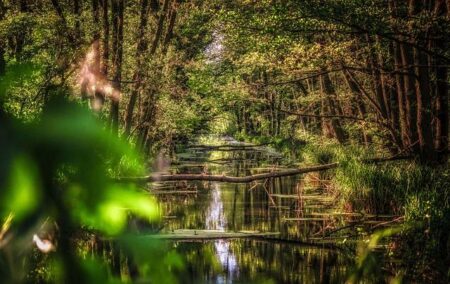 Investigators Uncover Broken Rail Joint Behind Devastating Spanish Train Crash
