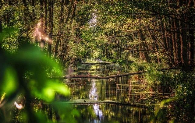 Investigators Uncover Broken Rail Joint Behind Devastating Spanish Train Crash