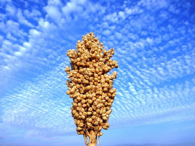 Campaigners Expose Safety Defects in Air India Crash Aircraft