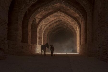 Regardless of Iran’s future, Russia will adapt to preserve its influence Regardless of Iran’s future, Russia will adapt to preserve its influence