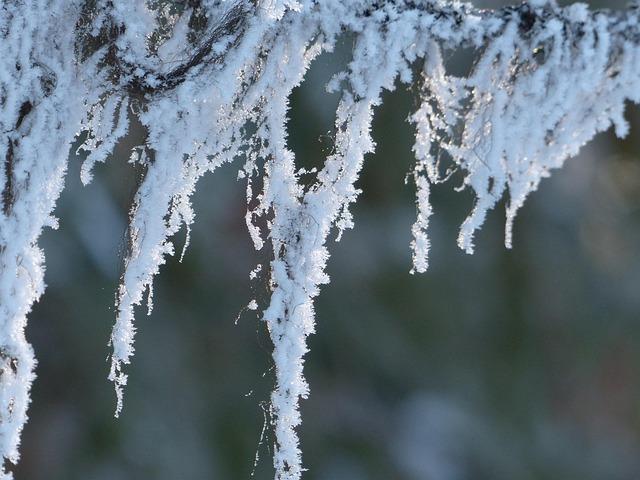 Arctic Blast Set to Freeze Canada as Temperatures Plunge to a Frigid -50°C