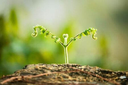 Coach Phill from USA Curling Prepares for His Epic Final Olympic Run