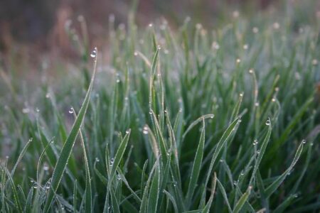 Former USA Swimming CEO Tim Hinchey Takes the Helm as Vancouver Canucks’ New Chief Revenue Officer