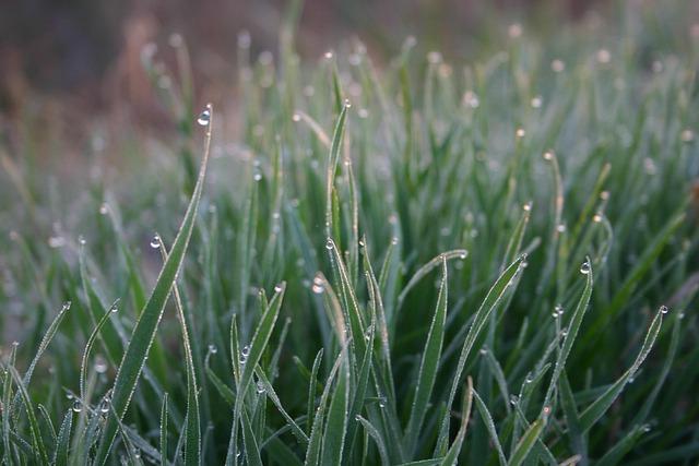 Former USA Swimming CEO Tim Hinchey Takes the Helm as Vancouver Canucks’ New Chief Revenue Officer