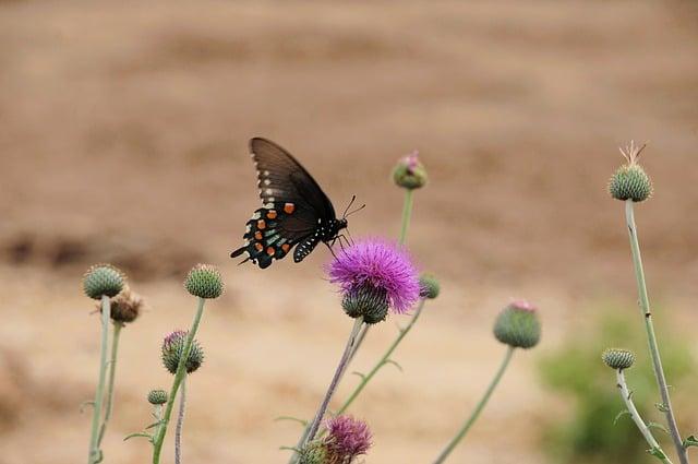 UK and Norway Unite to Launch “Lunna House” Pact for Year-Round Royal Marines Arctic Training Amid Accelerating Climate Change
