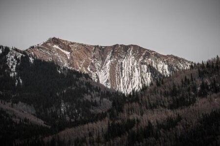 Alberta Premier Delivers Strong Rejection of US Statehood Proposal in Fiery Response to Bessent