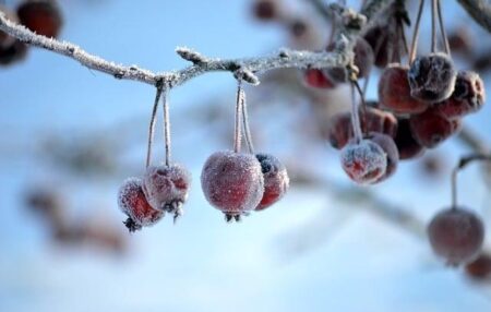 Italian Leaders Slam ICE’s Role in Winter Olympics Security Efforts Italian Leaders Slam ICE’s Role in Winter Olympics Security Efforts