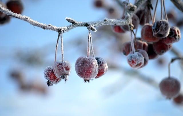 Italian Leaders Slam ICE’s Role in Winter Olympics Security Efforts