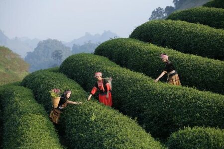 European NBA Tour Ignites Explosive Triple-Digit Betting Boom in Germany and France