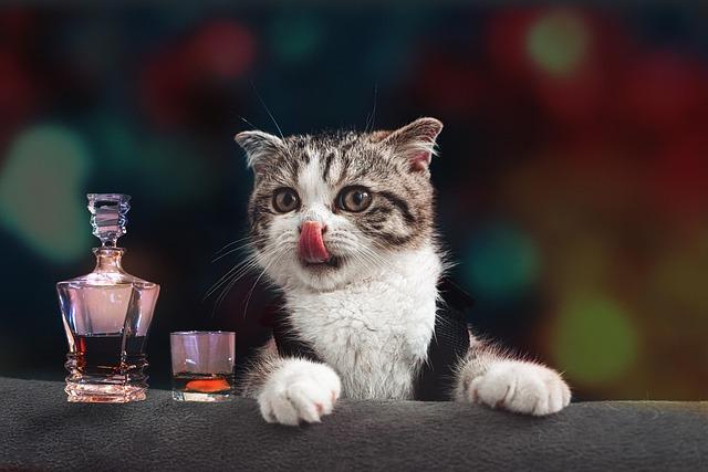 China Slashes Import Tariffs on Scotch Whisky, Unlocking Exciting New Opportunities