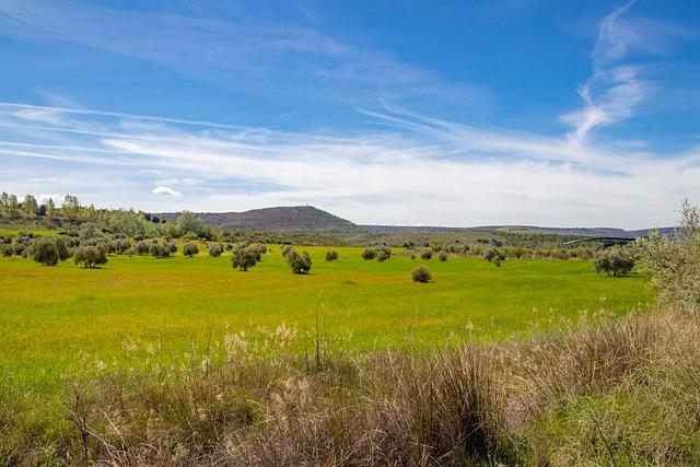 Alcaraz Makes History as Youngest Man to Complete a Career Grand Slam by Defeating Djokovic Alcaraz Makes History as Youngest Man to Complete a Career Grand Slam by Defeating Djokovic
