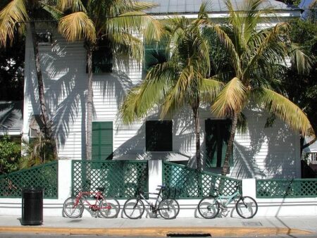 Explore Stunning Scenic Destinations Across the USA with Coleen Brooks