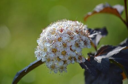 Spar Locks in Long-Term Future in France with Casino Partnership Through 2039 Spar Locks in Long-Term Future in France with Casino Partnership Through 2039