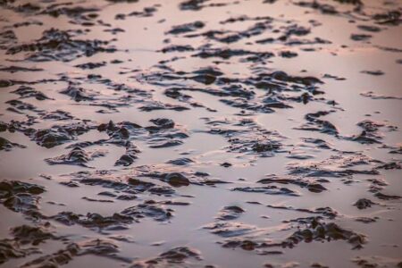 Watt Seizes Control of Webex Players Series Sydney Lead