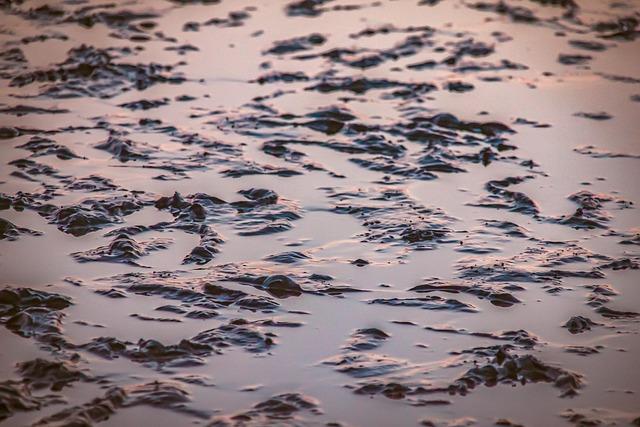 Watt Seizes Control of Webex Players Series Sydney Lead