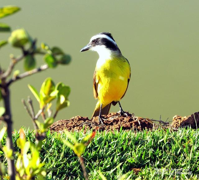 Explosions Rock Kyiv as Russia Strikes Residential Building and Gas Pipeline in Odesa