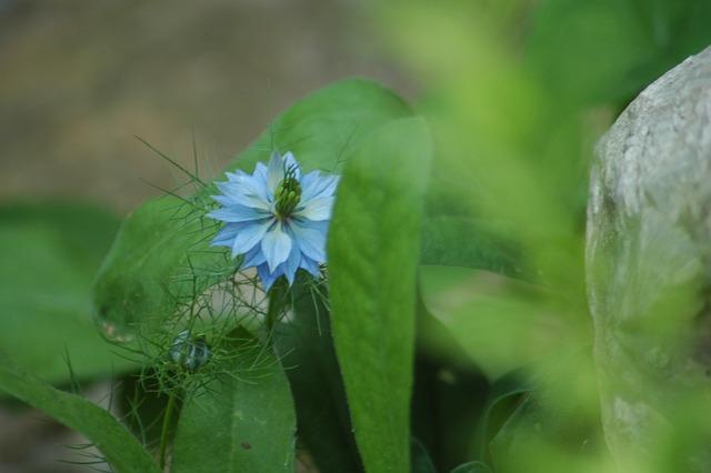 Nigel Farage Makes Bold Moves to Tackle Russia Controversy