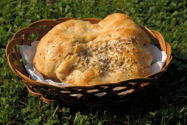 Justice Department Moves to Overturn Steve Bannon’s Contempt Conviction