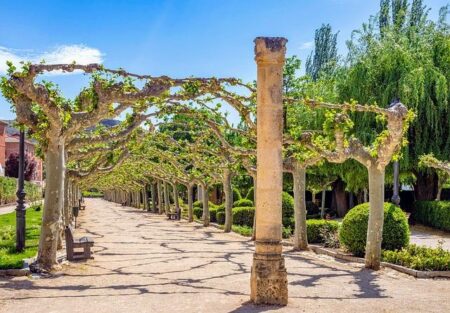 Spain Park Stages a Comeback to Overcome Helena and Advance to Sub-Regionals