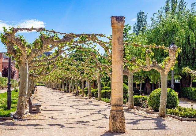 Spain Park Stages a Comeback to Overcome Helena and Advance to Sub-Regionals