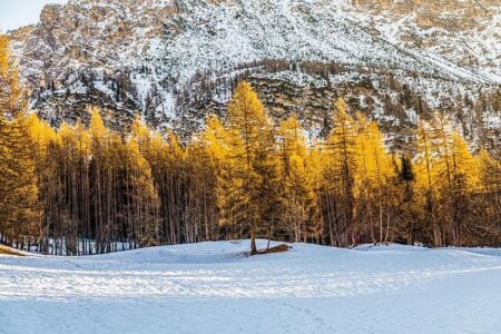 France Confronts Major Challenges on the Road to Milan Cortina 2030 Olympics