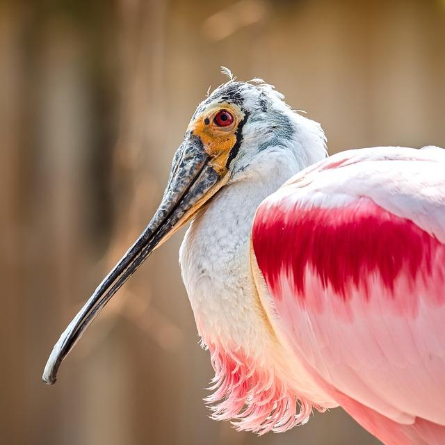 House Approves Controversial Bill That Could Affect Voting Rights of Married Women