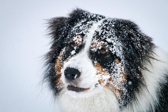 Beloved 57-Year-Old Aussie Icon Honored with Her Own Barbie Doll! Beloved 57-Year-Old Aussie Icon Honored with Her Own Barbie Doll!