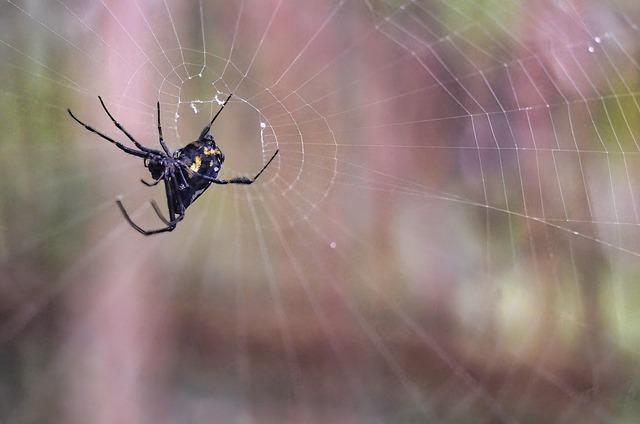 Everything You Should Know About the Heartbreaking School Shooting in Canada