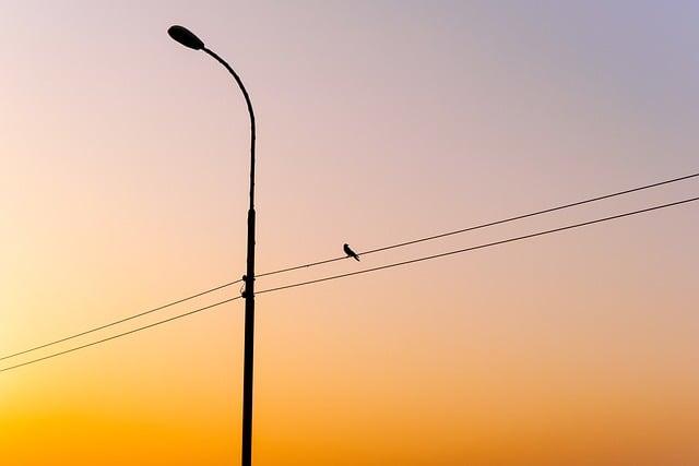 Braathen Claims Pole Position, Ready to Chase Brazil’s Giant Slalom Medal Dream at Milano Cortina 2026